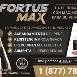 FORTUS MAX_AD-01